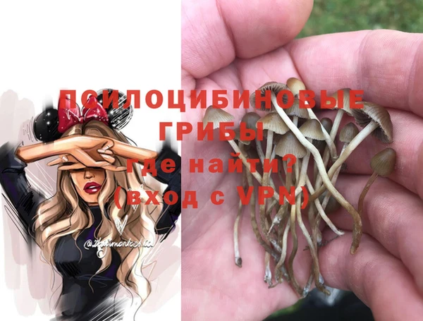 каннабис Алексеевка