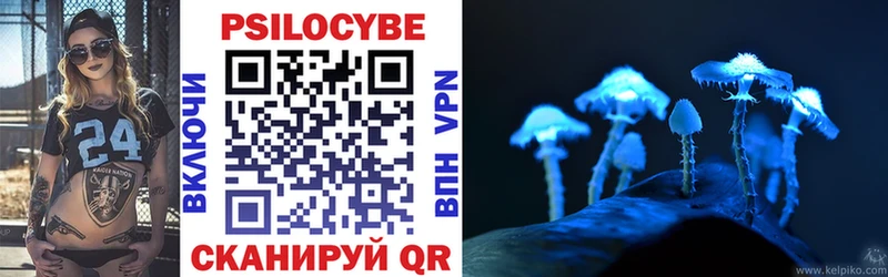 Галлюциногенные грибы Cubensis  где продают   Тайшет 