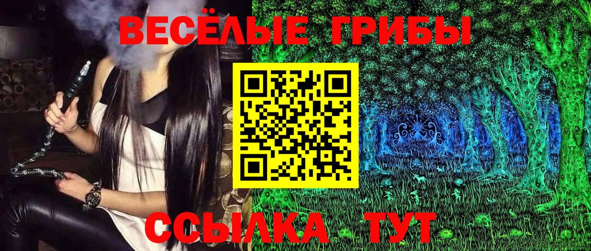 Канабис Тайшет