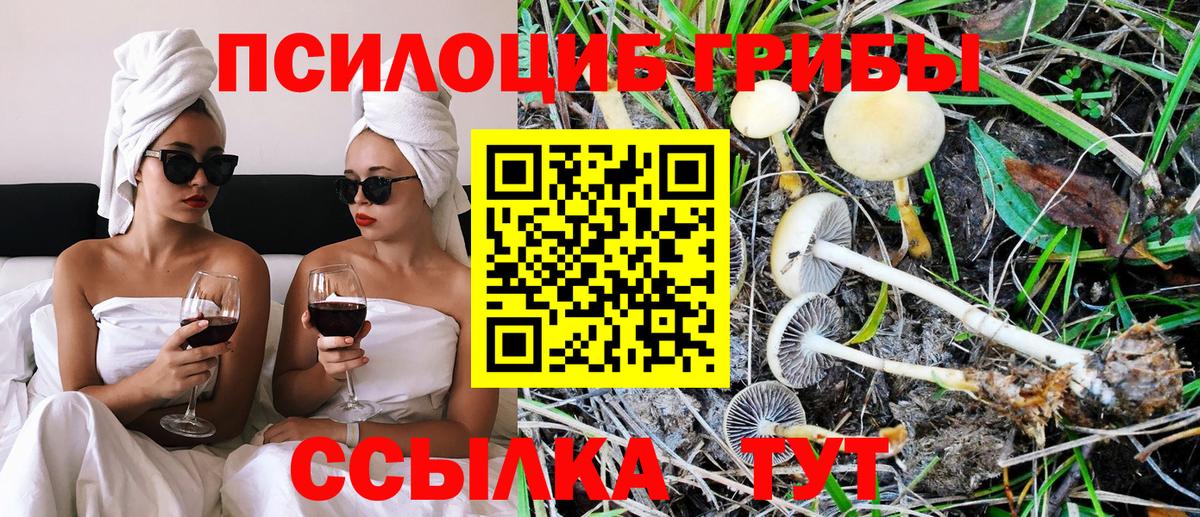 Галлюциногенные грибы Cubensis  Псилоцибиновые грибы мухоморы  Тайшет  Вход с VPN 