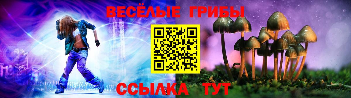 Галлюциногенные грибы прущие грибы Тайшет